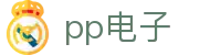 PP电子(中国)集团公司